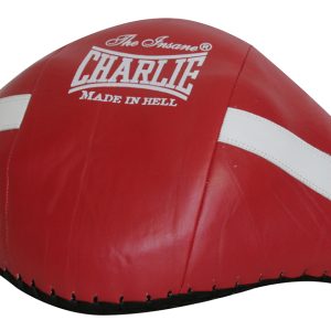PROTECTOR VENTRAL