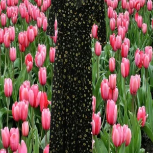 VESTIDO MANGA LARGA NEGRO CON DISEÑO FLORAL