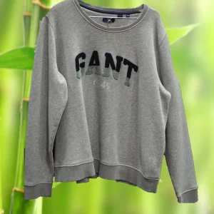 SUDADERA GRIS