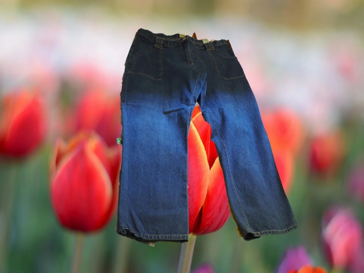 PANTALON VAQUERO MUJER - Imagen 2