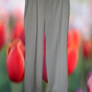 PANTALÓN MUJER DE VESTIR BLANCO CON RAYAS GRISES