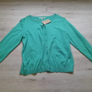 REBECA DE PUNTO VERDE