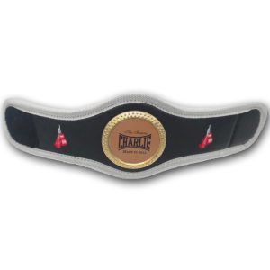 MINI CHAMPION BELT